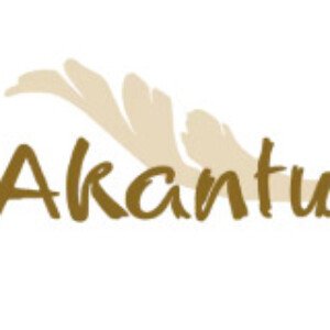 Profile picture of Akantus Weihnachtskrippen