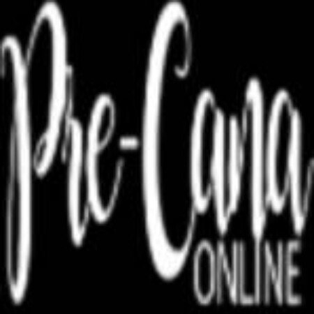 Profile picture of Pre-Cana Online