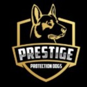 Profile picture of Prestige Protection Dogs