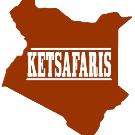 Profile picture of Ketsafaris