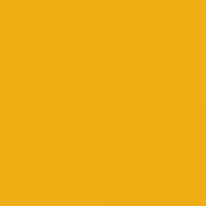 Profile picture of astrologer kuldeep