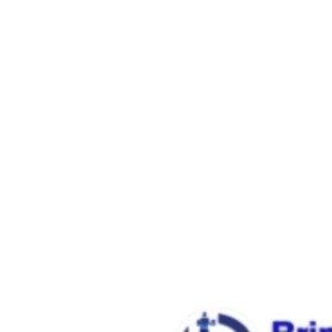 Profile picture of BringOn Digital - E commerce website design