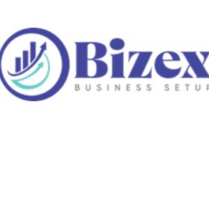 Profile picture of Bizex LLC