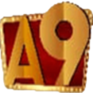 Profile picture of A9play