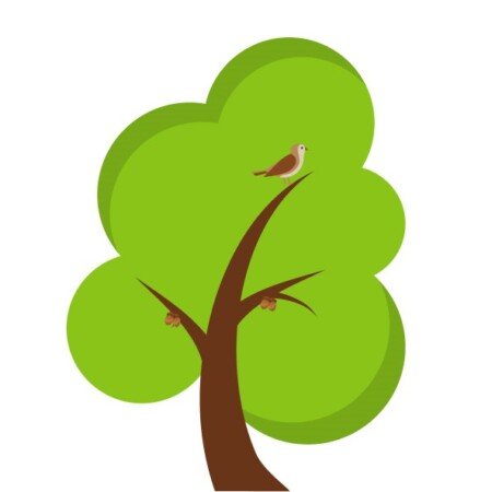 Profile picture of Hiteshi Infotech