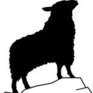 Profile picture of Blacksheep Hotels