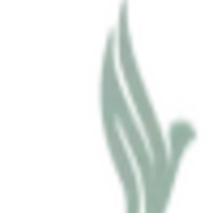 Profile picture of Biobird