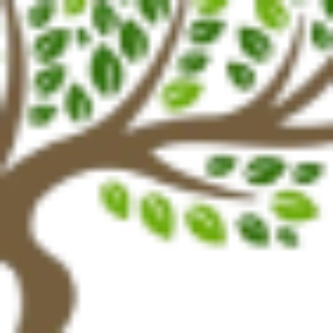 Profile picture of Budget Tree Removal