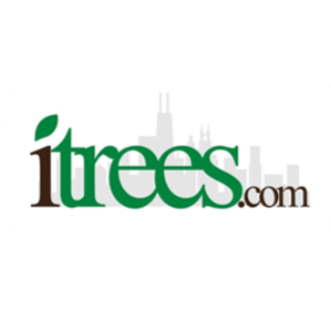 Profile picture of iTrees