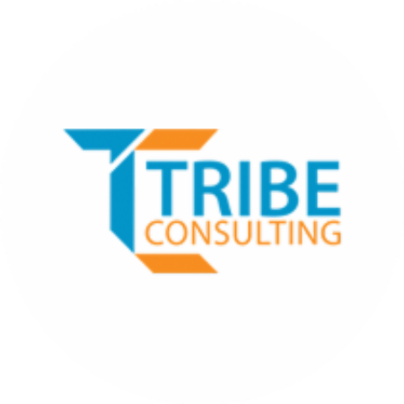 Profile picture of Tribe Consulting