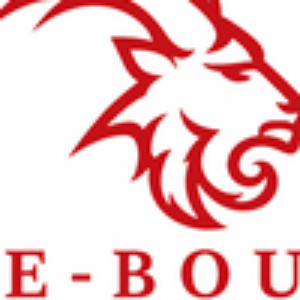Profile picture of lebouc