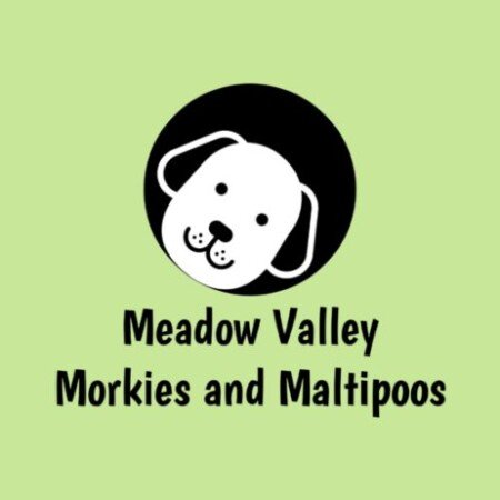Profile picture of Meadow Valley Puppies