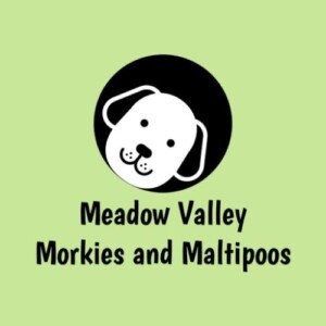 Profile picture of Meadow Valley Puppies