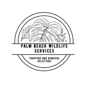 Profile picture of Palm Beach Wildlife Services