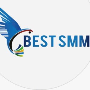 Profile picture of Best-SMM | The World's Leading SMM Panel for Reseller