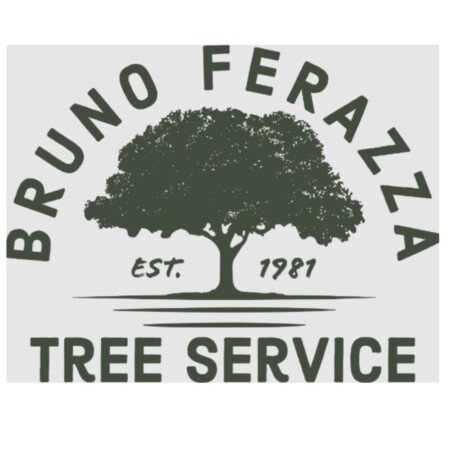 Profile picture of Bruno Ferazza Tree Service