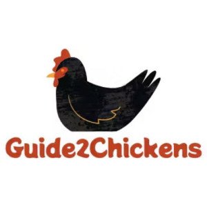 Profile picture of Guide2Chickens