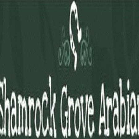 Profile picture of Shamrock Grove Arabians