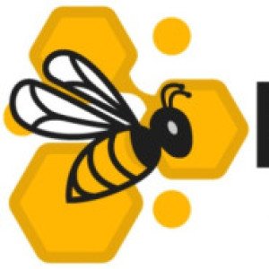 Profile picture of Hive Security Service