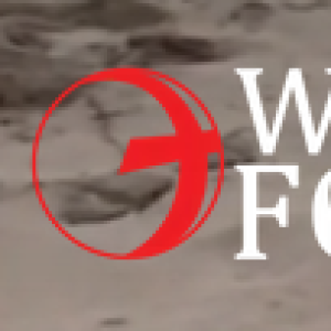 Profile picture of Walk In His Footsteps