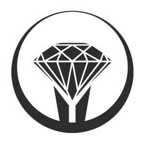 Profile picture of David Joy