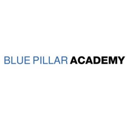 Profile picture of Blue Pillar Academy