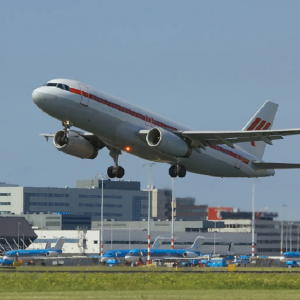 Profile picture of The Ultimate Guide to JFK Delta Terminal - ContactforSupport