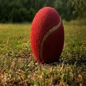 Profile picture of Online Cricket Id