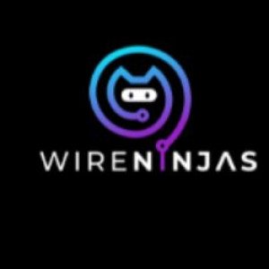 Profile picture of Wire Ninjas