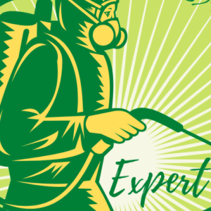 Profile picture of Expert Pest Control Dubai