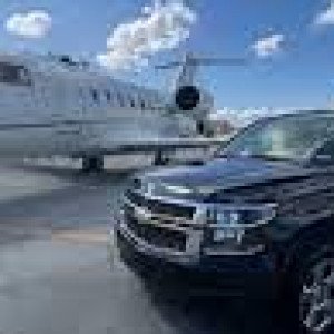 Profile picture of Sophia Daniel