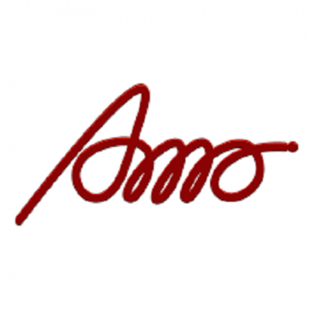Profile picture of AMO MOBILITY SOLUTIONS