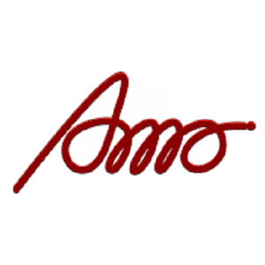 Profile picture of AMO MOBILITY SOLUTIONS