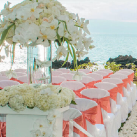 Profile picture of Capture Beautiful Memories: 808 Pictures - Hawaii's Premier Photography Company