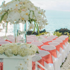 Profile picture of Capture Beautiful Memories: 808 Pictures - Hawaii's Premier Photography Company