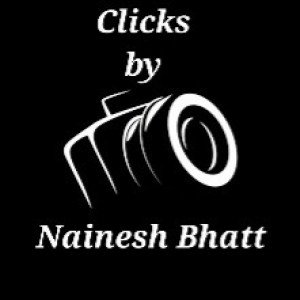 Profile picture of Photographer in vadodara