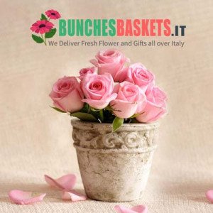 Profile picture of Roberto Mancini