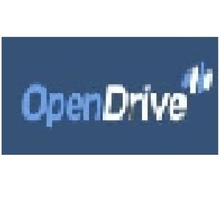 Profile picture of Open Drive