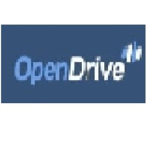 Profile picture of Open Drive