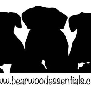 Profile picture of Bearwoodes Sentinels