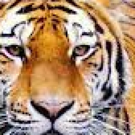Profile picture of Sundarban Tour Package