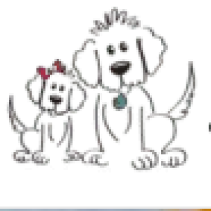 Profile picture of Golden Doodles By Aggi