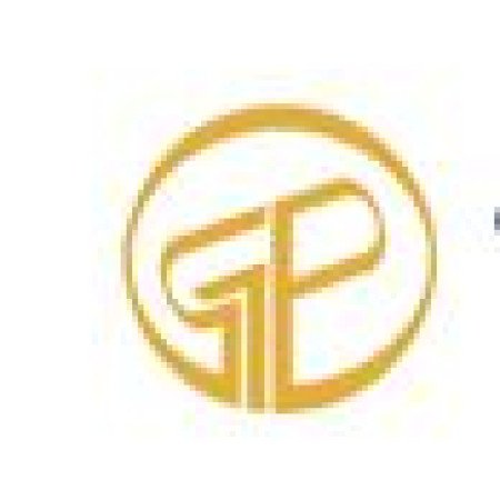 Profile picture of The Pincus Group INC