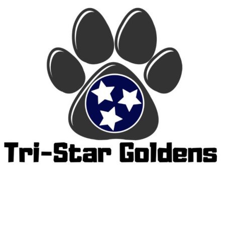 Profile picture of Tristar Goldens