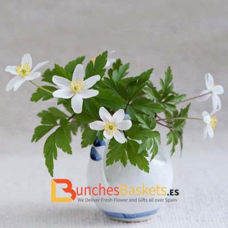 Profile picture of Daniel Martinez