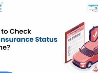 How to Check Vehicle insurance Status Online
