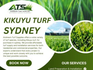 kikuyu turf sydney