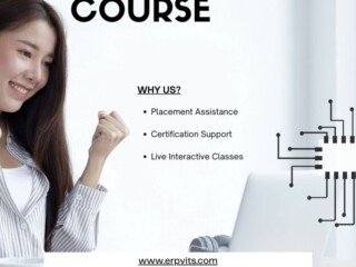 online course (1)
