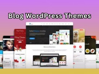 Blog WordPress Themes (1)