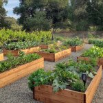 raised-garden-beds